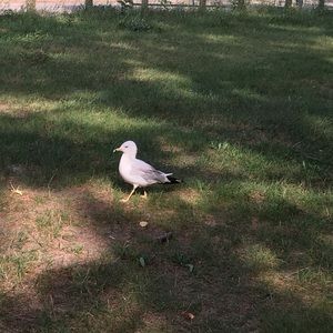 Meet your Posher, Mim